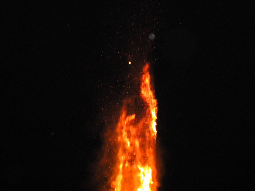 DSCN3188.jpg