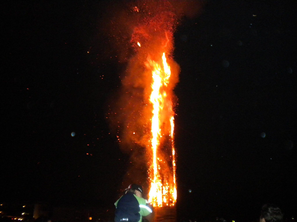 DSCN3194.jpg