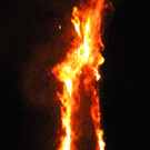 DSCN3195.jpg