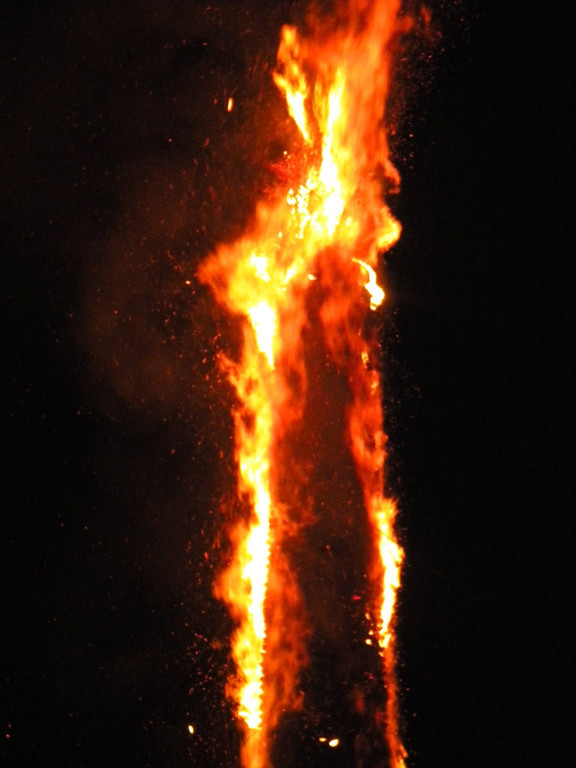DSCN3195.jpg