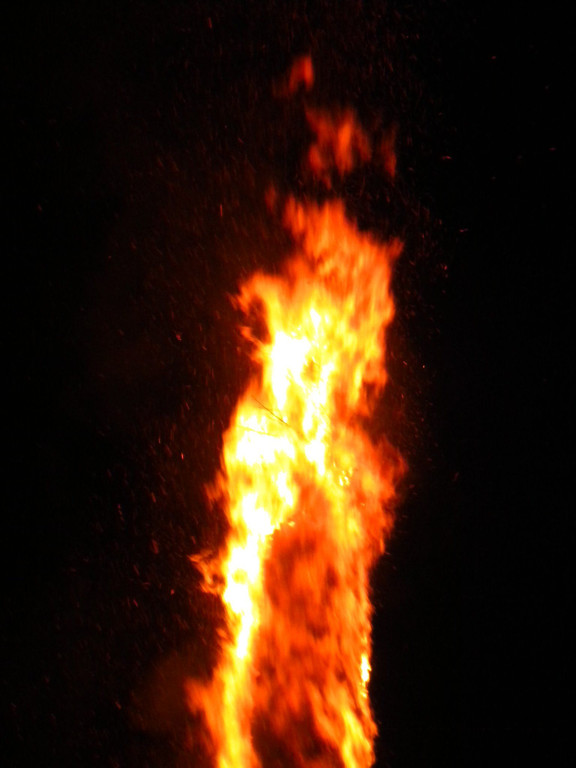 DSCN3196.jpg
