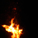 DSCN3202.jpg