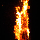 DSCN3203.jpg