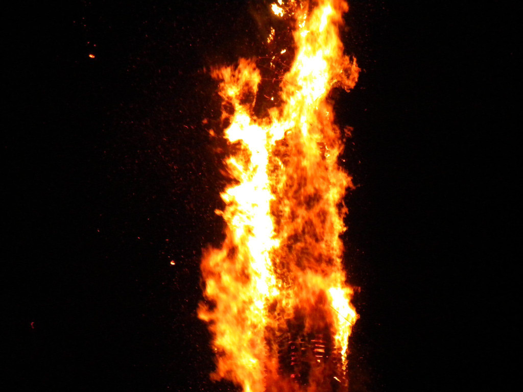 DSCN3203.jpg