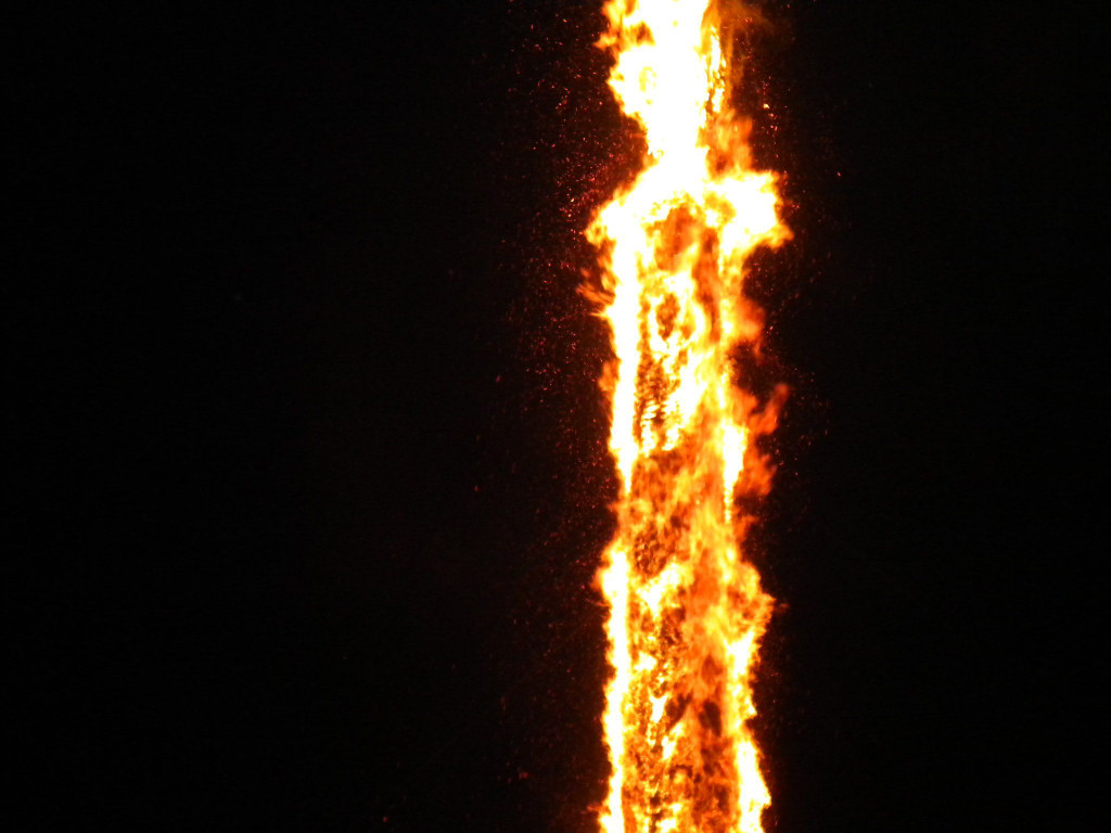 DSCN3206.jpg