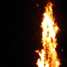 DSCN3207.jpg