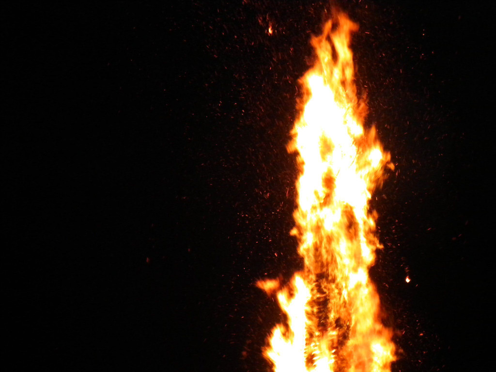 DSCN3207.jpg