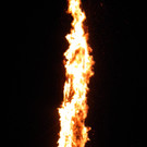 DSCN3211.jpg