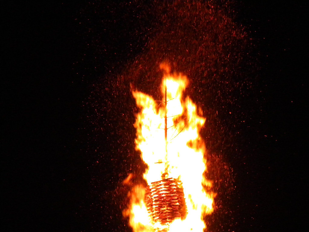 DSCN3216.jpg