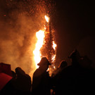 IMG_9789.jpg