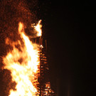 IMG_9848.jpg