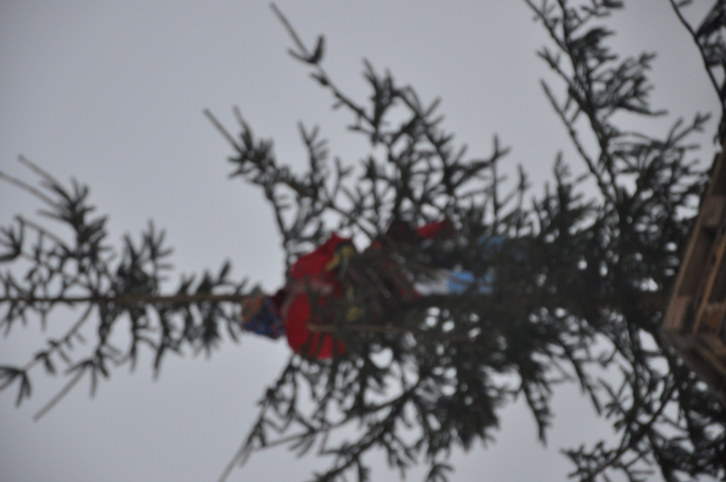 DSC_0962.JPG