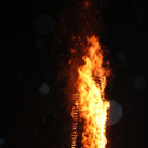 DSC04323.JPG