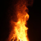 DSC04328.JPG