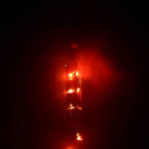 IMG_9908.JPG