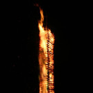 IMG_9995.JPG