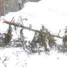 260212erdrutschat04001aktivnews038.JPG