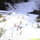 260212erdrutschat04001aktivnews088.JPG