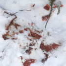 260212erdrutschat04001aktivnews082.JPG