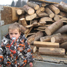 IMG_3921_JPG-1330292272