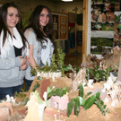 IMG_5284_jpg-1330292516