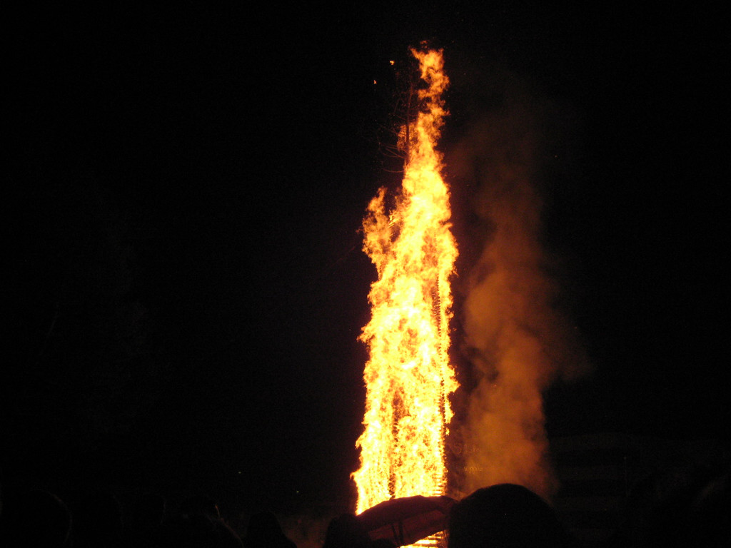 IMG_3964_JPG-1330295129