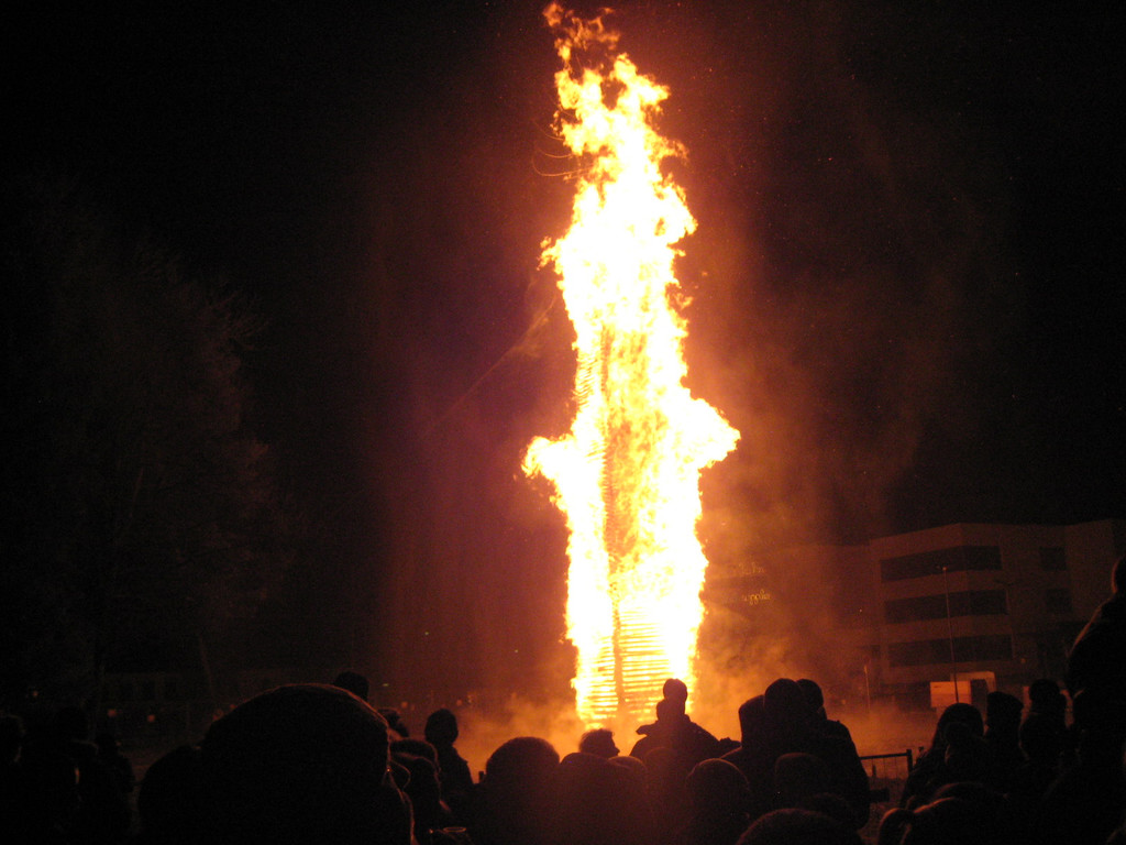 IMG_3976_JPG-1330295145