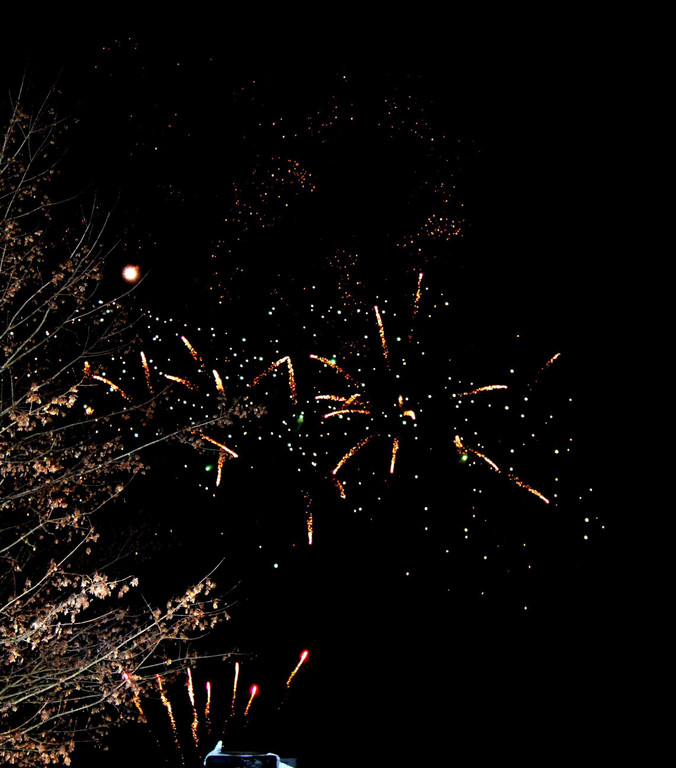 DSC_0052-1.jpg