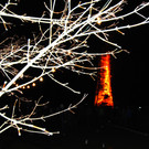 DSC_0186.JPG