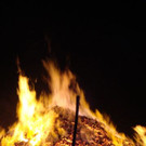 DSC04830.JPG