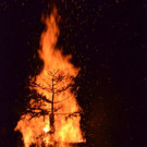 DSC_5777.jpg