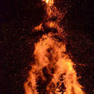 DSC_5821.jpg