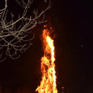 DSC_5432.jpg