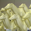 normal_26022012fmt_praeparatorenwm_ta_001.JPG