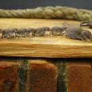 normal_26022012fmt_praeparatorenwm_ta_005.JPG