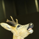normal_26022012fmt_praeparatorenwm_ta_006.JPG