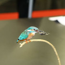 normal_26022012fmt_praeparatorenwm_ta_009.JPG