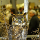 normal_26022012fmt_praeparatorenwm_ta_010.JPG