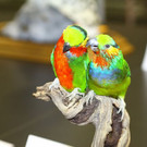 normal_26022012fmt_praeparatorenwm_ta_013.JPG
