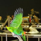normal_26022012fmt_praeparatorenwm_ta_014.JPG