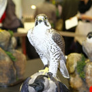 normal_26022012fmt_praeparatorenwm_ta_016.JPG