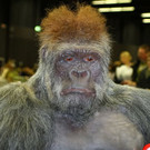 normal_26022012fmt_praeparatorenwm_ta_017.JPG