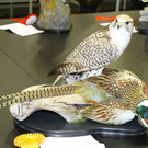 normal_26022012fmt_praeparatorenwm_ta_018.JPG
