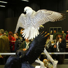 normal_26022012fmt_praeparatorenwm_ta_019.JPG