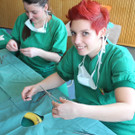 DSCN0498_jpg-1330336452