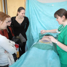 DSCN0516_JPG-1330336683