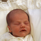 DAB5774-20120227.jpg