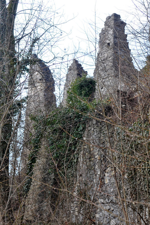 Ruine Neuburg 012.jpg