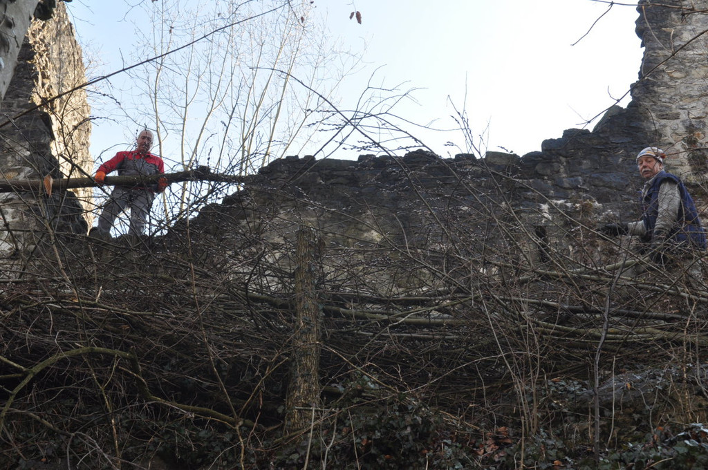 Ruine Neuburg 041.jpg