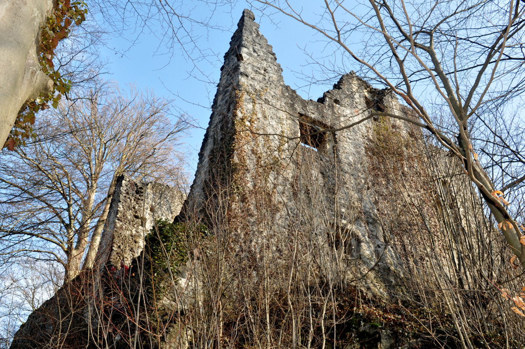 Ruine Neuburg 044.jpg